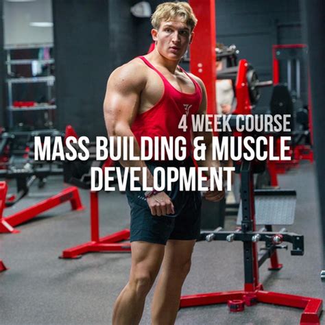 Muscle Development Workout 的图像结果