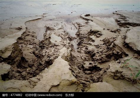 新开河淤塞严重河水几近断流-城市频道-浙江在线