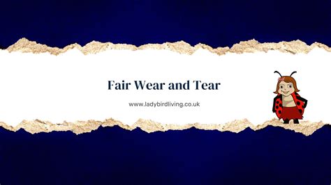 Fair Wear and Tear - examples and solving disputes - Ladybird Living ...