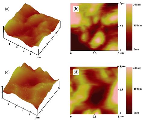 Surface Engineering of EB-PBF Ti6Al4V via Anodization: Multifunctional ...