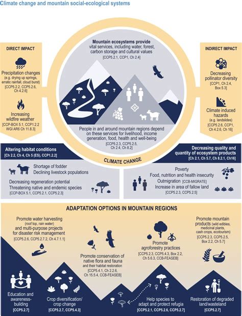 Mountains provide many benefits to both people and wildlife. 🏔️ Learn how mountain ecosystems ...