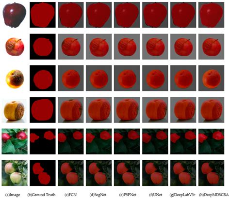 DeepMDSCBA: An Improved Semantic Segmentation Model Based on DeepLabV3 ...