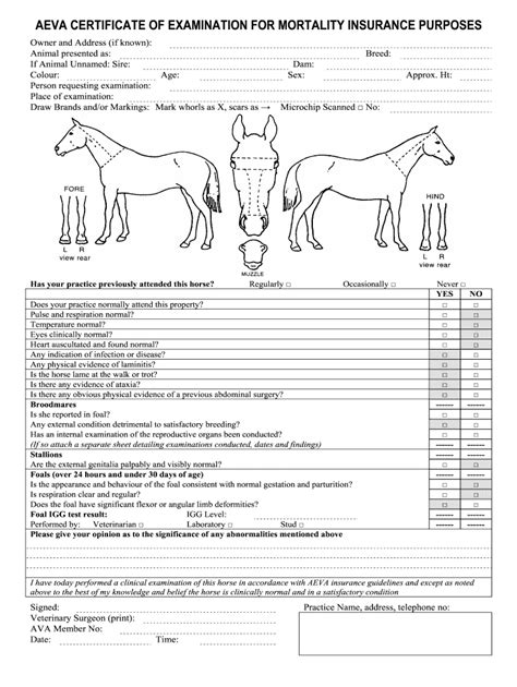 AU E-Quine Insurance Services Aeva Certificate - Fill Out, Sign & Share ...
