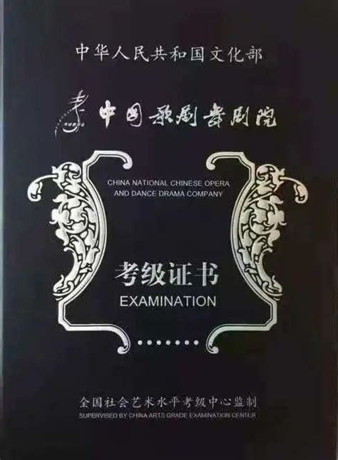 搜中国歌舞剧院舞蹈考级教程1-4级7VCD 5CD 少儿_gjx666200
