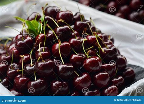 Fresh Black Cherries ,Berry Fruit in Market Shop. Stock Photo - Image ...