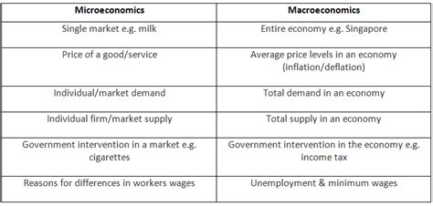 Differences Between Micro and Macro - Economics for GCSE/IGCSE - Class 10