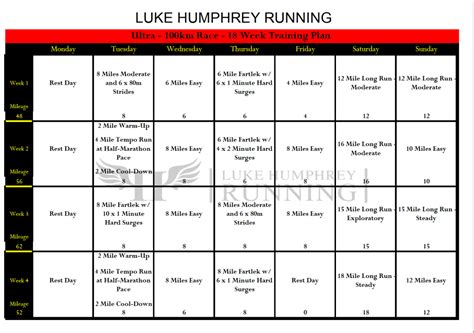 100M Training Program 的图像结果