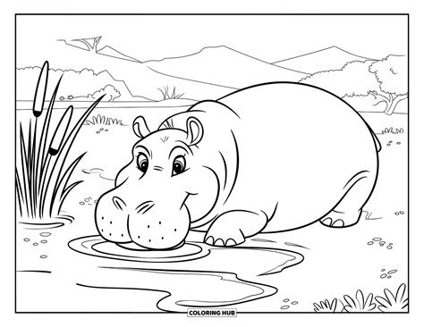105+ Hippo Coloring Pages for Kids & Adults (Free Printable PDFs)