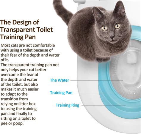 Buy Fuzzymilky Cat Toilet Training System 2022 - Teach Cat to Use ...