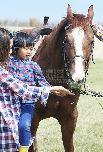 父母和小孩给马喂食高清图片下载-正版图片502026808-摄图网