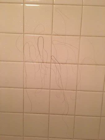 TAMARACK INN (Missoula) - Motel Reviews & Photos - Tripadvisor