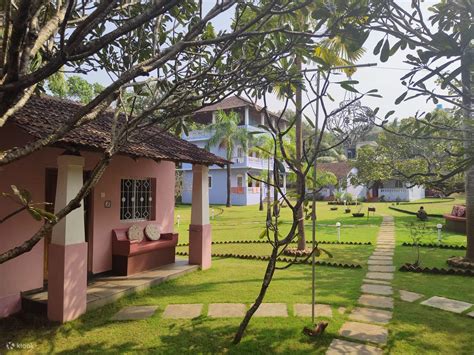 Panchakarma retreat in India 14 Days separate room in a bungalow ...
