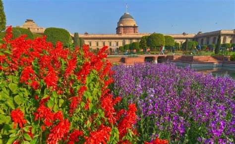 Mughal Garden: 5 फरवरी से 8 मार्च तक आम लोगों के लिए खुला रहेगा मुगल ...