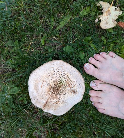 Morgan Shipley's feet