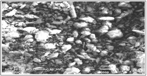 Enhanced Bio-Oil Yield from Thermal Decomposition of Peanut Shells ...