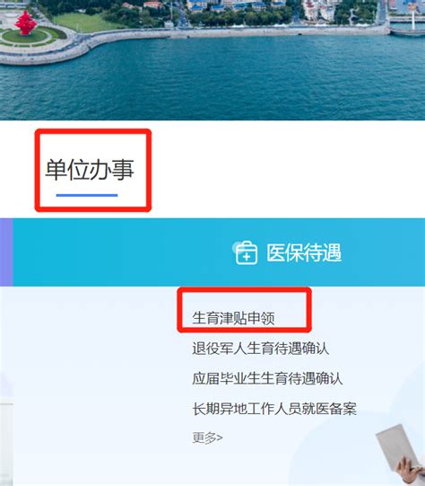 深圳用人单位生育津贴申报流程（适用于2021年10月1日之后分娩、终止妊娠或施行计划生育手术） - 知乎