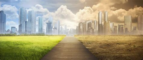 Decentralization 的图像结果