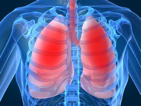 Top 5 Facts: Respiration | How It Works Magazine
