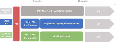 Frontiers | Short dual antiplatelet therapy and dual antiplatelet therapy de-escalation after ...