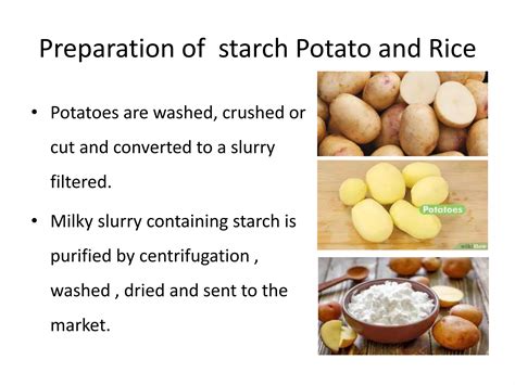 Starches | PPTX