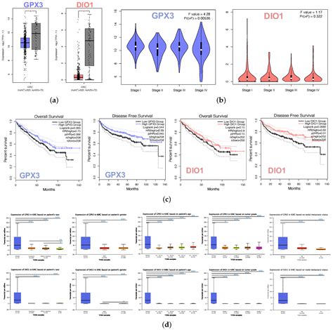 LRRC19—A Bridge between Selenium Adjuvant Therapy and Renal Clear Cell ...