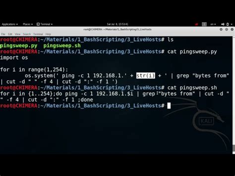 3- Bash Scripting - Find Live Hosts (Ping Sweep)