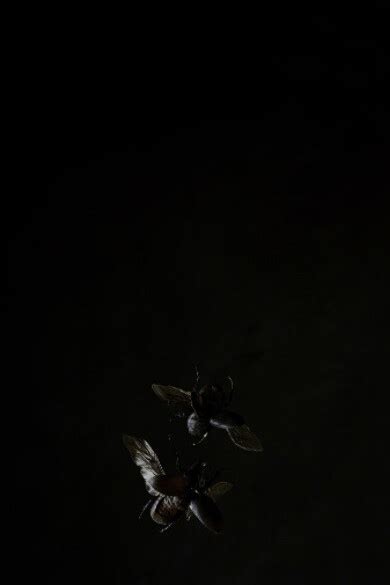 Tara Sellios: Sinuous | Meer