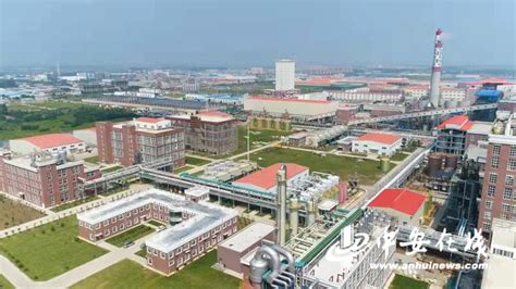 蚌埠：聚焦“双招双引” 推动工业经济高质量发展