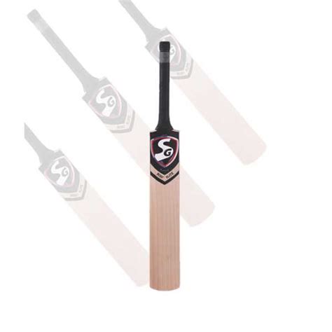 SG Rsd Elite English Willow Cricket Bat (Short Handle) Price in India ...