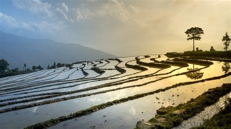 Industrial Revolution Agriculture 的图像结果