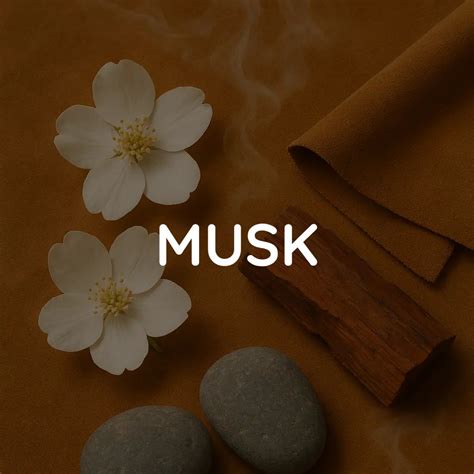 MUSK – The Perfume Project