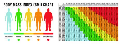 BMI標準體重怎麼算？男女體重身高指數,公式換算,計算機