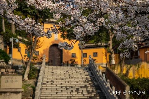 探访南京鸡鸣寺内的历史遗存（图）_年间