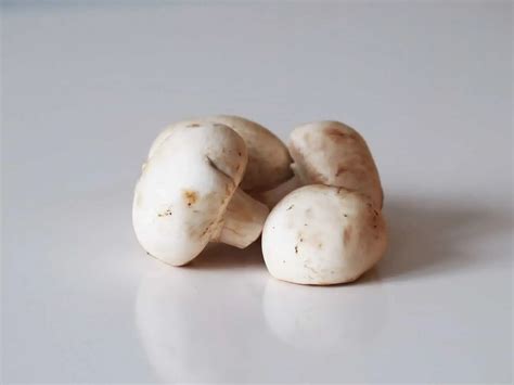 Can You Eat Raw Mushrooms? A Comprehensive Guide | FungiReview