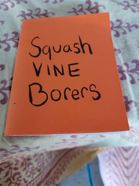 my daughter is tabling @ the Houston zine fest : r/AustinGardening