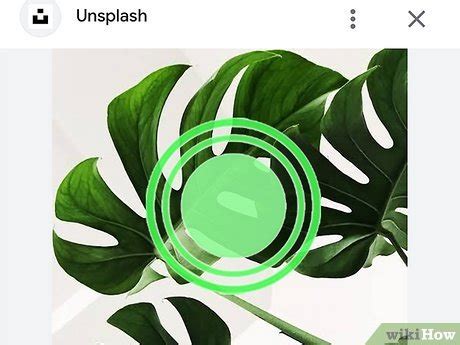 Download File From Web Application 的图像结果