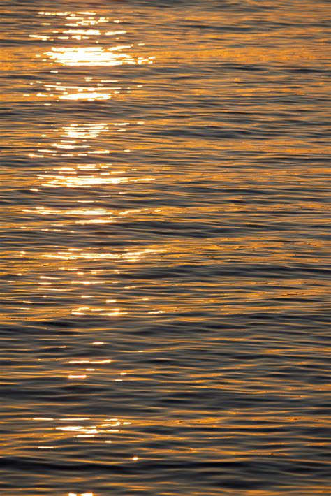 A bird flying over a body of water photo – Free Sestri levante Image on ...