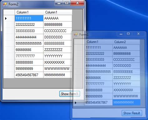 VB.NET DataGridView Tutorial 的图像结果