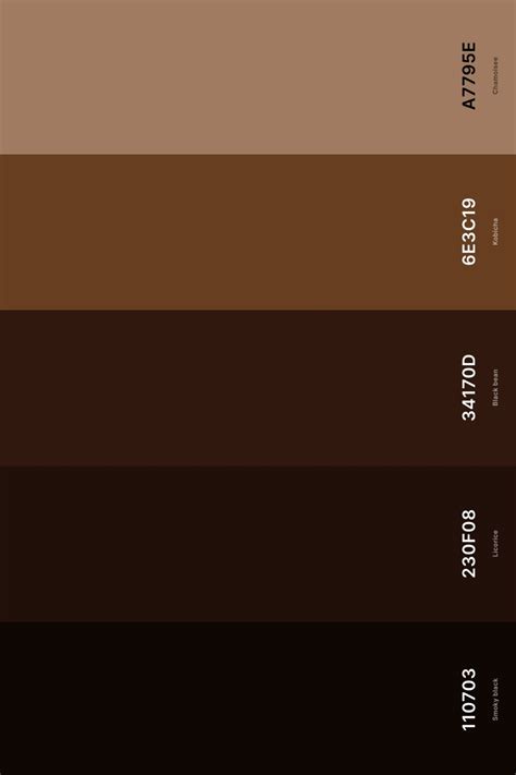 Black and Brown Color Palette