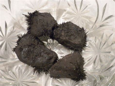 Image result for Carbon Create Software