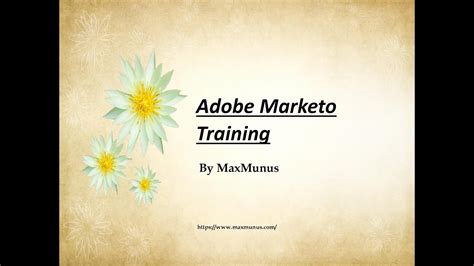 Image result for Marketo Tutorial for Beginners