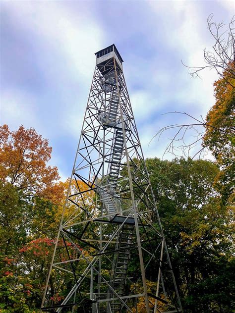 Adult Nature Walk- Ferncliff Forest , Forsyth Nature Center, Kingston ...