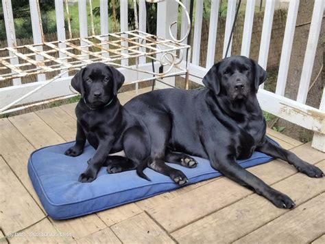 The Day Obituaries - Kathleen Holdridge (01/07/1947 - 01/19/2022) has ...