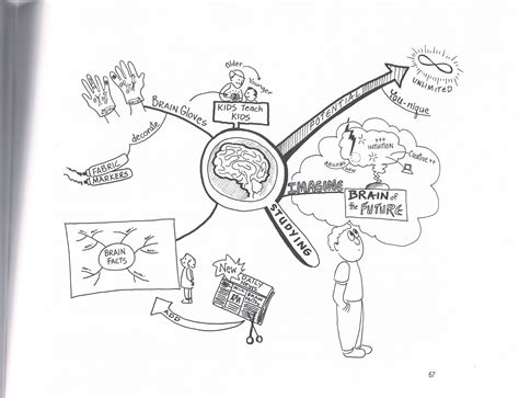 Brain Map Example 的图像结果