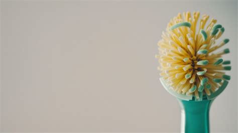 Image result for Toothbrush Cleaner