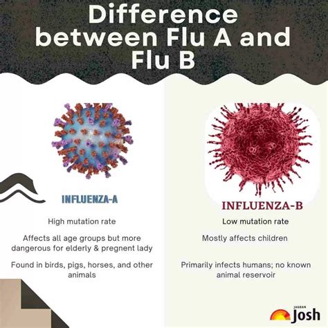 Flu A vs Flu B: Check Key Differences Between these Influenza Disease