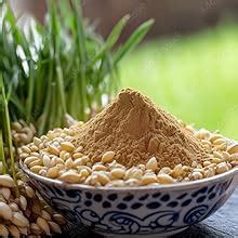 Barley Grain 100g Natural and Rich Fiber Jau Seeds Jau जौ | Jav | Barli ...