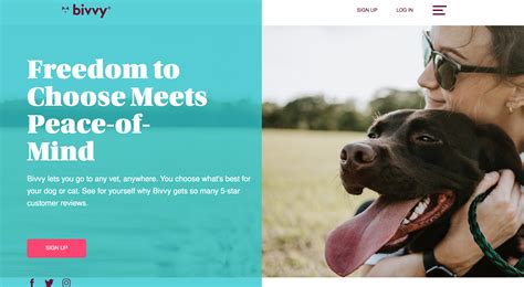 Introducing Bivvy Pet Insurance