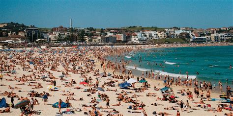 Image result for How to Throw a Spring Break House Party