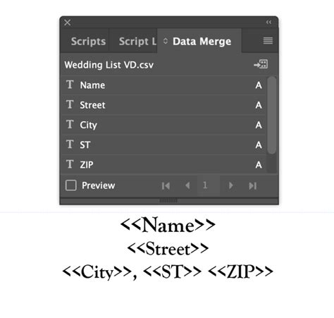 Data Variable InDesign 的图像结果